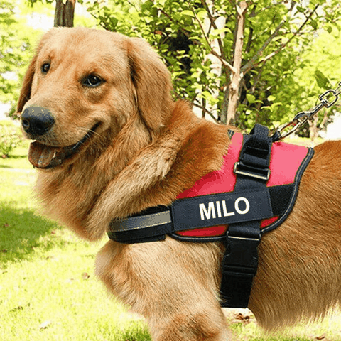 EasyHarness® No-Pull Dog Harness